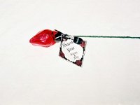 photos 2000-200900738